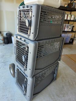 3 Dog Kennels & Food Container