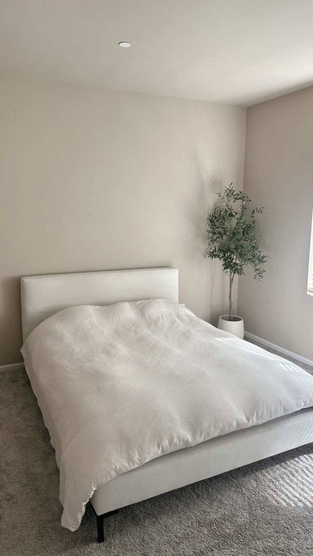 Queen Velvet Bed And Mattress