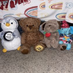 Stuffed Animals