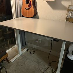IKEA Standing Desk, Electric Standing Desk, 55”x23”