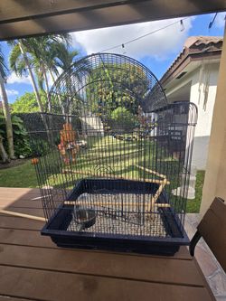 Bird Cage