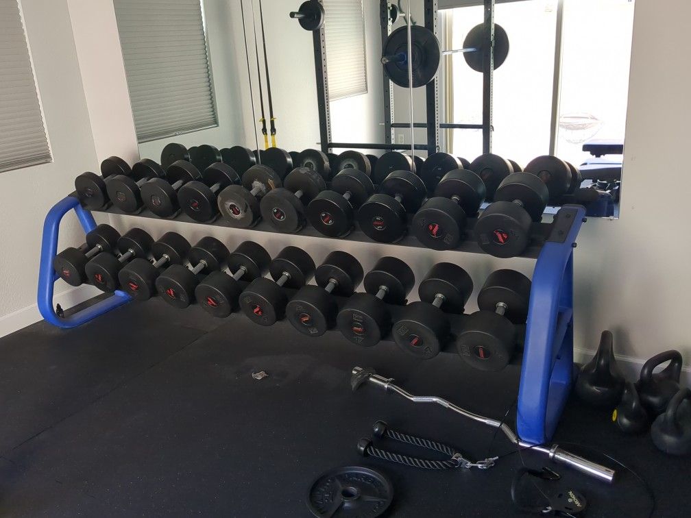 55-100 Lb Urethane Dumbbell Set And Rack