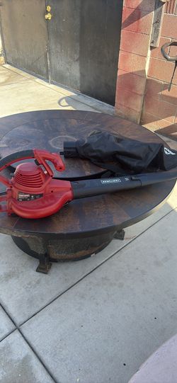 Electric craftsman Blower