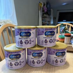 Enfamil NeuroPro Gentlease 