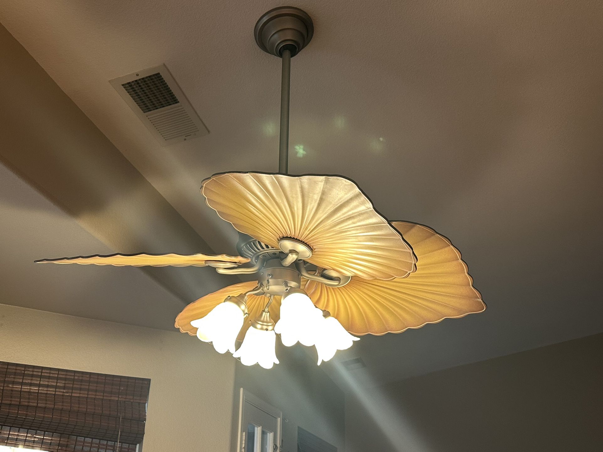 Hunter Ceiling Fan