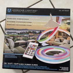 Color Changing Neon Flex Light