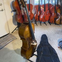 4/4 Cello Gold Brown Pro