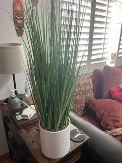 Fake Plant In White Planter