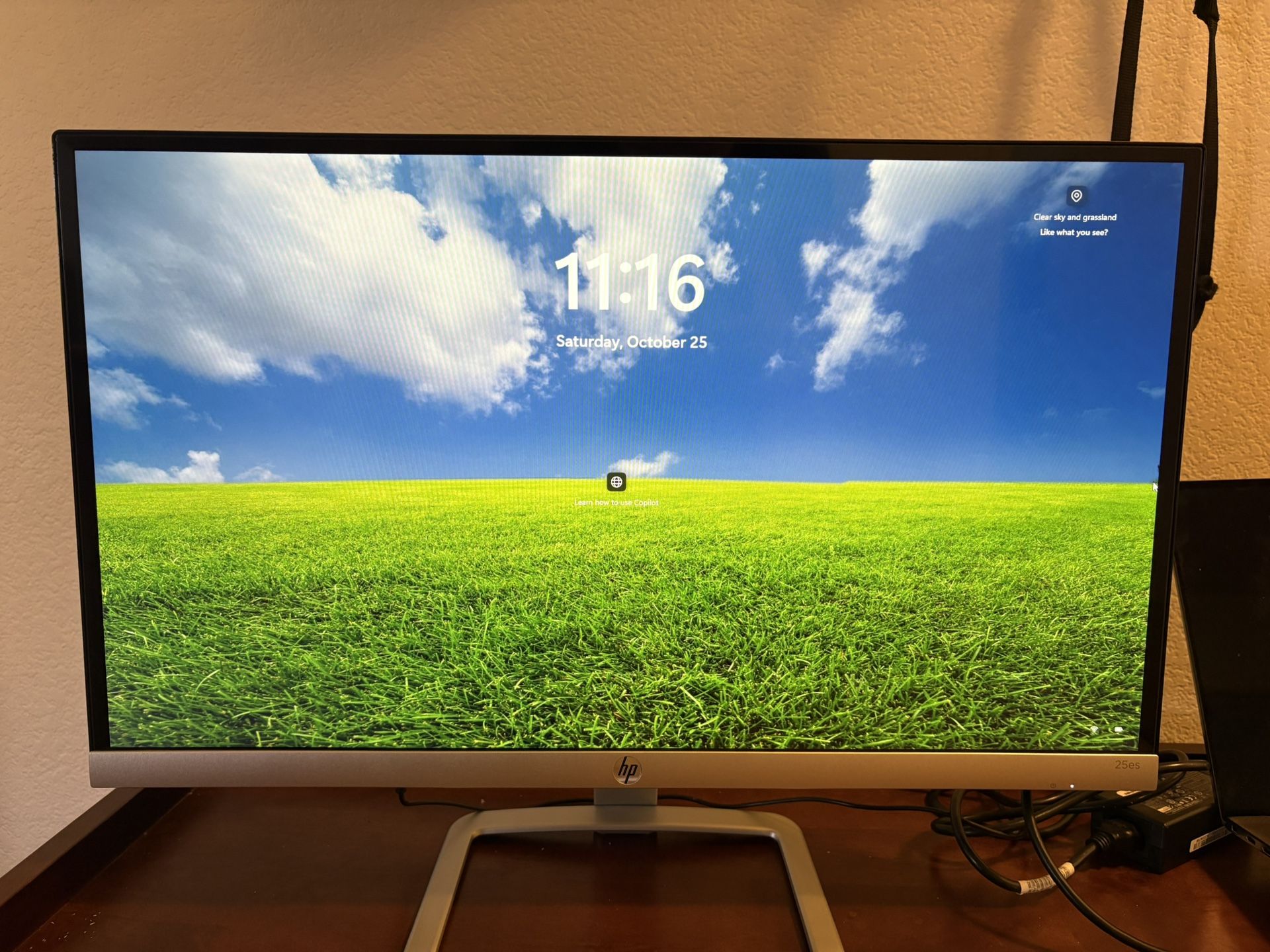 HP Monitor 25 Inch Display