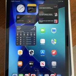 iPad Air 11in M3 256GB WiFi + Cellular