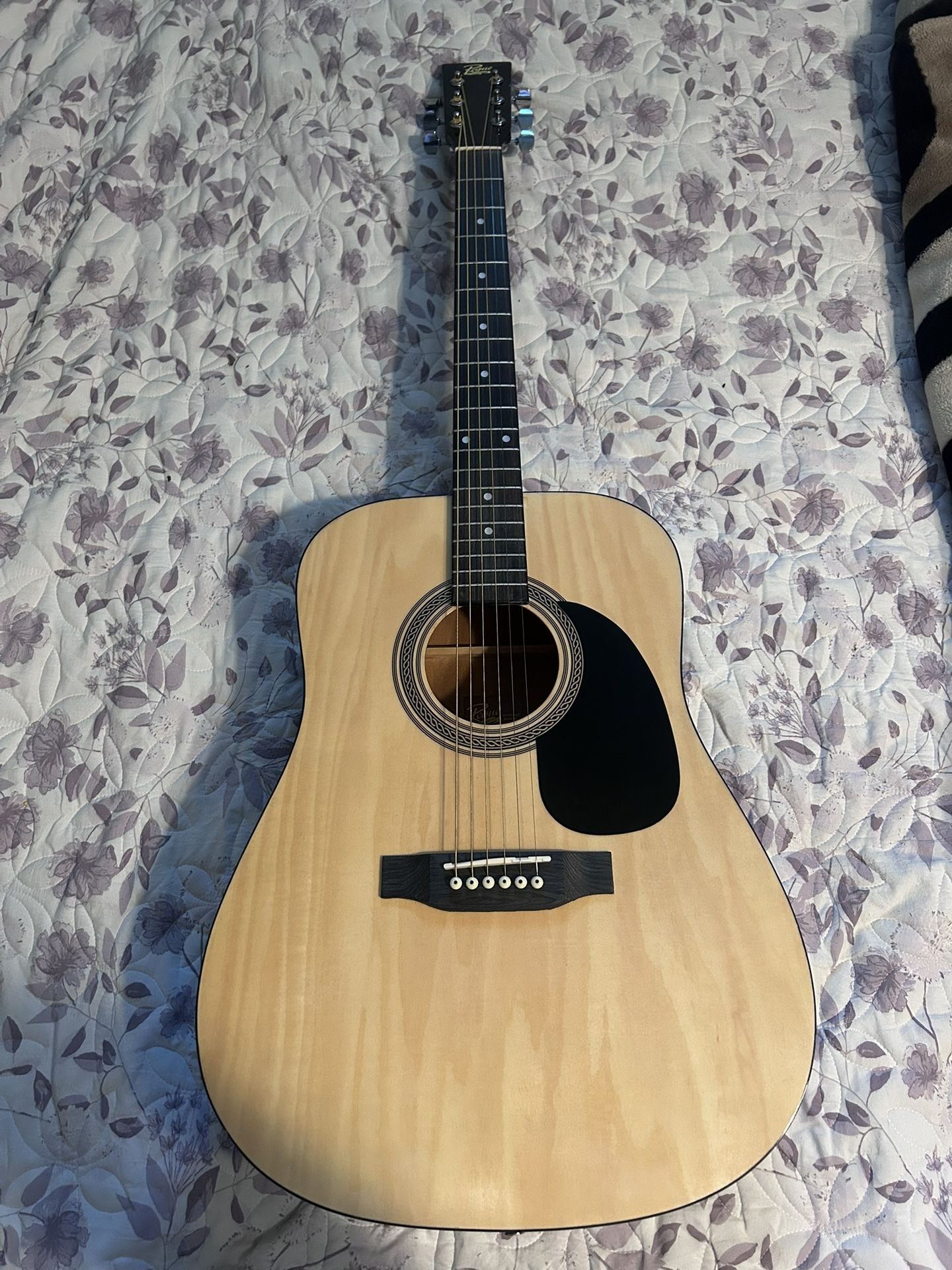 Rogue Guitar