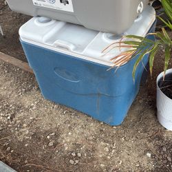 Used Coleman cooler