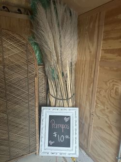 Pampas Decor Boho 