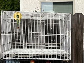 Bird Cage