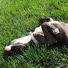 Esther