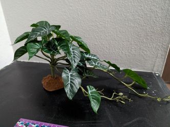 Terrarium Fake Plant