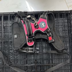 Poy Pet Dog Harness