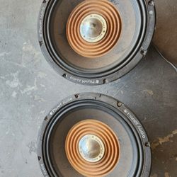 Planet Audio Fu 15's 