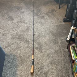 Bait Caster Fishing Pole