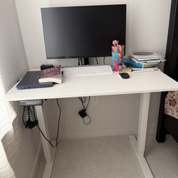 Electric Standing Desk Setup-desk + Monitor + Chair