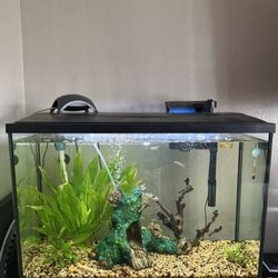 29g Fish Aquarium