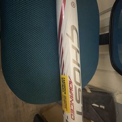 2022 Easton Ghost Advanced Fastpitch Softball Bat. 