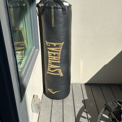 100lb Everlast Heavy Bag