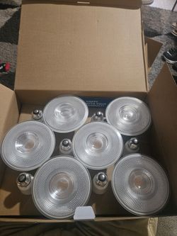 Sunco 12 pack led flood light bulb