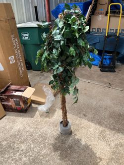 Plant decor 4ft