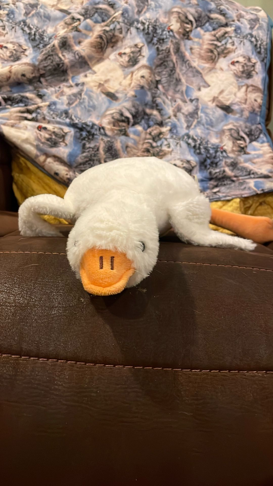 Duck Plushie