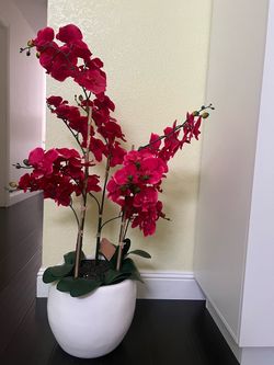 Pink flower