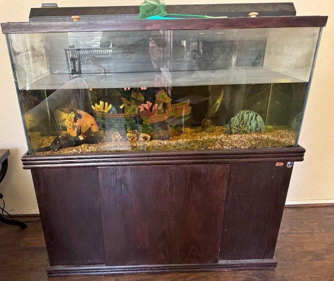 85 Gallon Fish Tank