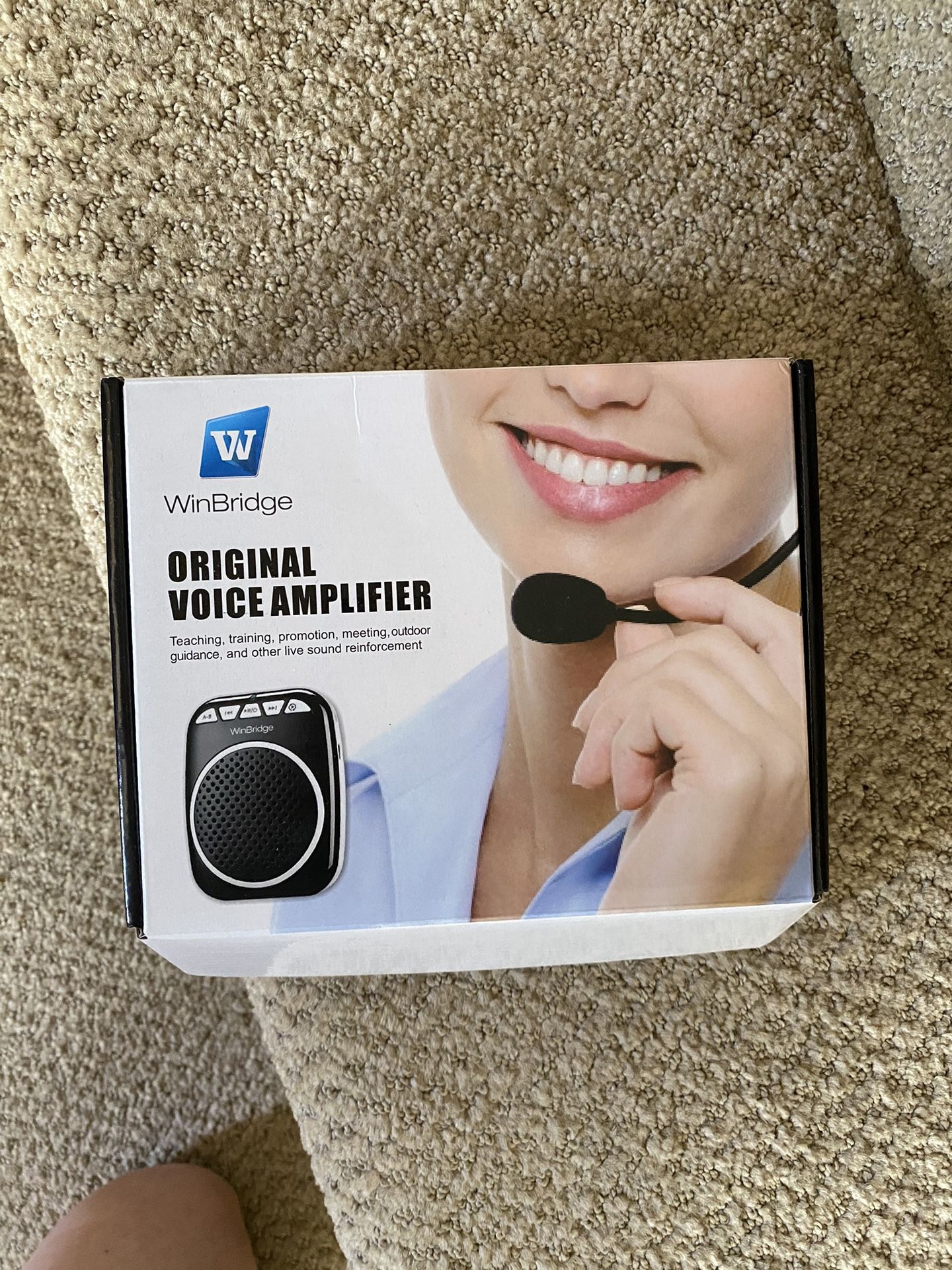 Voice Amplifier