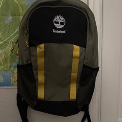 Calverton 26-Liter Backpack (Green, Yellow)