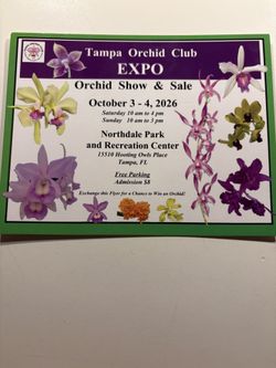 Tampa Orchid Expo