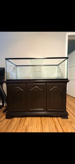 Nice and clean