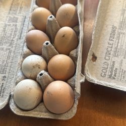 Backyard Chicken Eggs $6