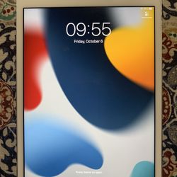 Apple iPad Mini 4th Generation 128GB Unlocked Like New!