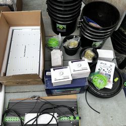 Plant Kit 6