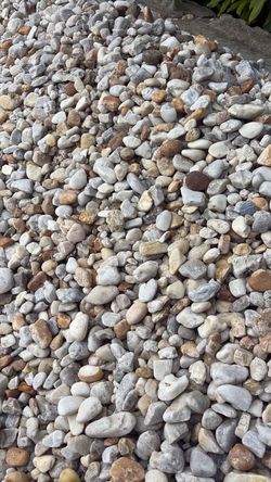 White River Rock - Yard