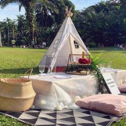 Picnic