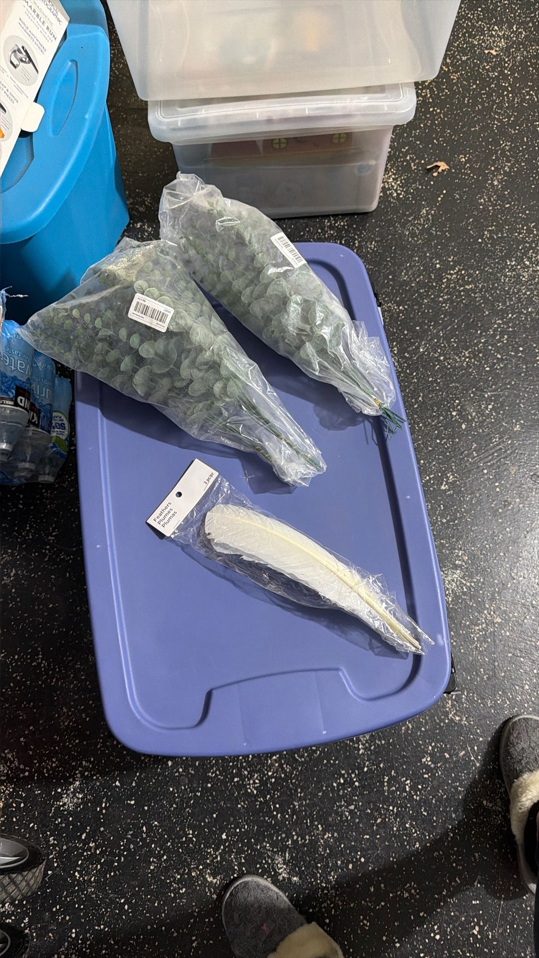 Feathers And Plants Fake $3 For All