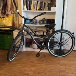 Flat Mat Black Paint Finish Beach Cruiser Bike 