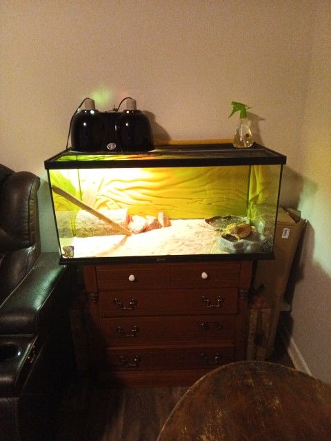 Lizard And Aquarium Heat Lamp Food And Water Bowl Hiding Tree Spray Bottle