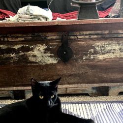 Driftwood finish Imported Mexican Chest/Coffee Table/TV Stand