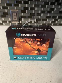 Modern Oasis 30ft LED String Lights