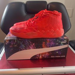 Lamelo mb 1