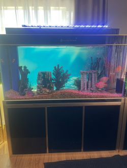 180gal Aquarium