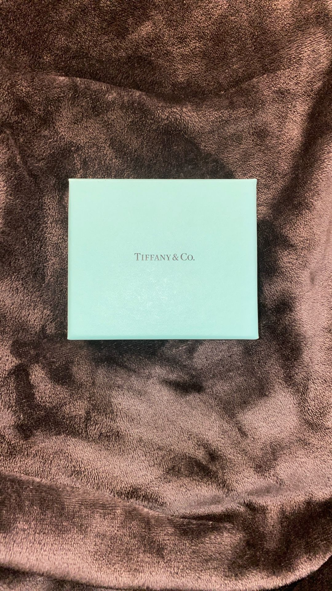 Tiffany Necklace