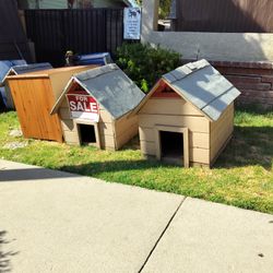 Dog House